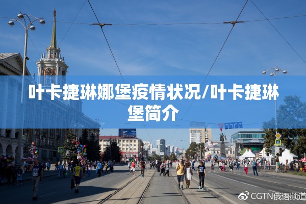 叶卡捷琳娜堡疫情状况/叶卡捷琳堡简介