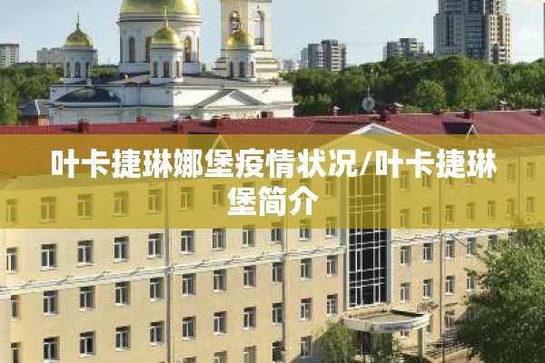 叶卡捷琳娜堡疫情状况/叶卡捷琳堡简介