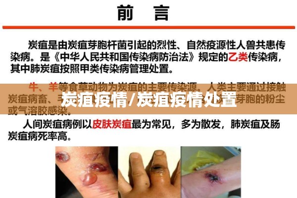 炭疽疫情/炭疽疫情处置