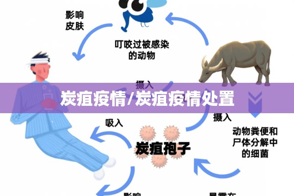 炭疽疫情/炭疽疫情处置