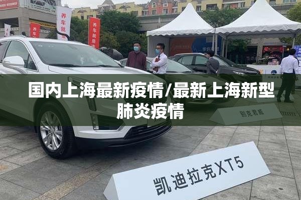 国内上海最新疫情/最新上海新型肺炎疫情