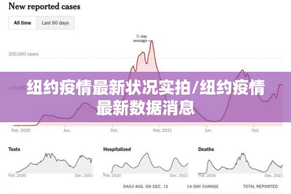 纽约疫情最新状况实拍/纽约疫情最新数据消息