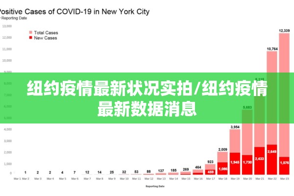 纽约疫情最新状况实拍/纽约疫情最新数据消息 纽约疫情最新状况实拍/纽约疫情最新数据消息