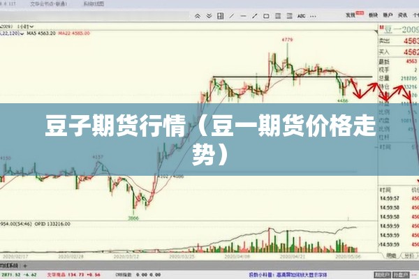 豆子期货行情（豆一期货价格走势）
