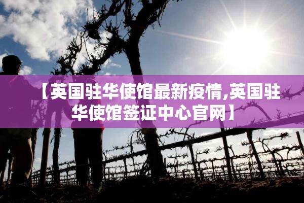 【英国驻华使馆最新疫情,英国驻华使馆签证中心官网】