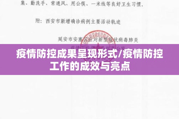 疫情防控成果呈现形式/疫情防控工作的成效与亮点