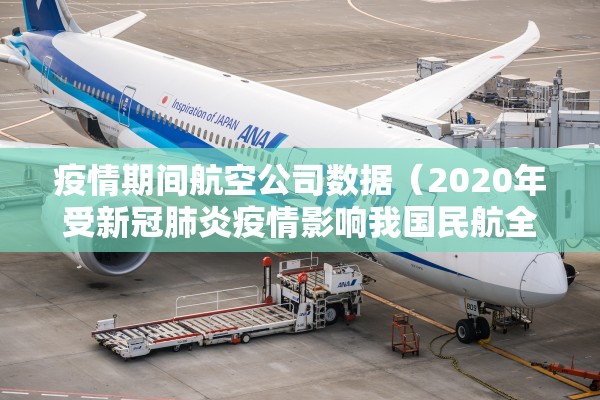 疫情期间航空公司数据（2020年受新冠肺炎疫情影响我国民航全行业）