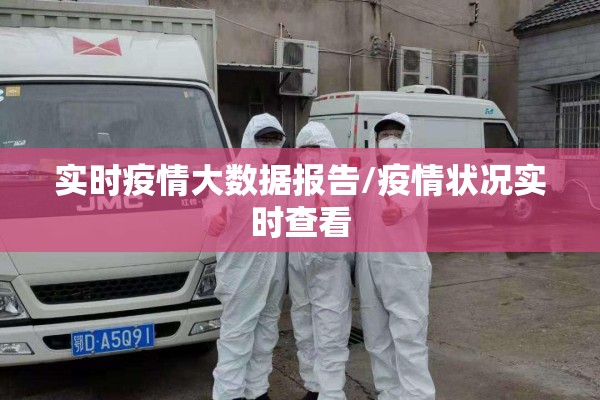 实时疫情大数据报告/疫情状况实时查看