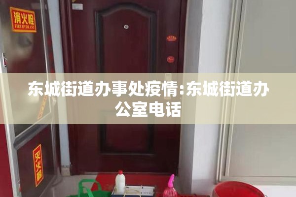 东城街道办事处疫情:东城街道办公室电话