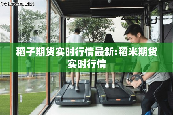 稻子期货实时行情最新:稻米期货实时行情