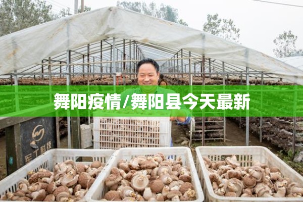 舞阳疫情/舞阳县今天最新 舞阳疫情/舞阳县今天最新