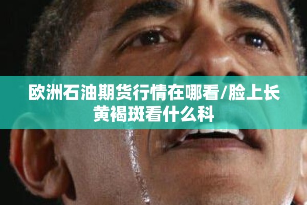 欧洲石油期货行情在哪看/脸上长黄褐斑看什么科
