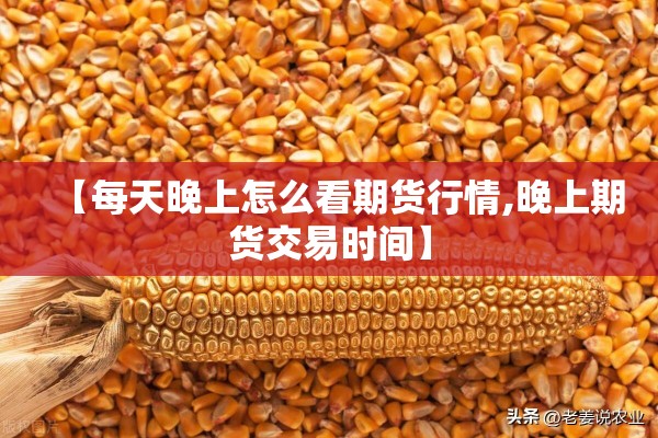 【每天晚上怎么看期货行情,晚上期货交易时间】