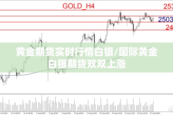 黄金期货实时行情白银/国际黄金白银期货双双上涨