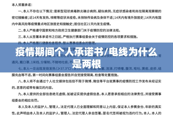 疫情期间个人承诺书/电线为什么是两根