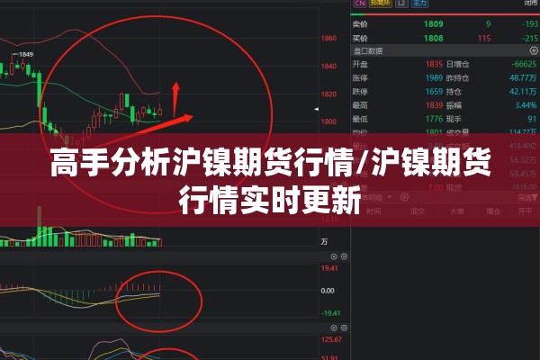 高手分析沪镍期货行情/沪镍期货行情实时更新