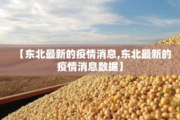 【东北最新的疫情消息,东北最新的疫情消息数据】