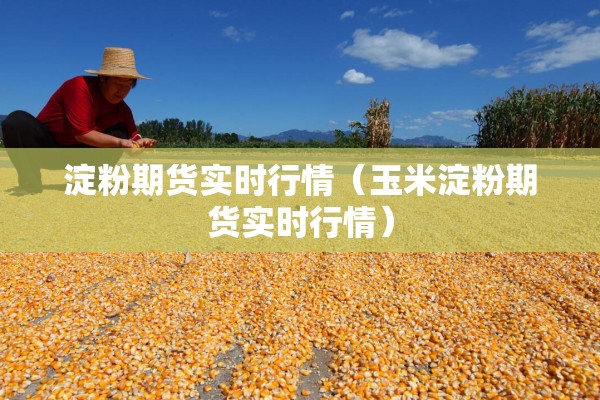 淀粉期货实时行情（玉米淀粉期货实时行情）