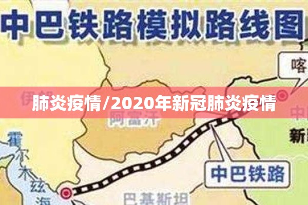 肺炎疫情/2020年新冠肺炎疫情