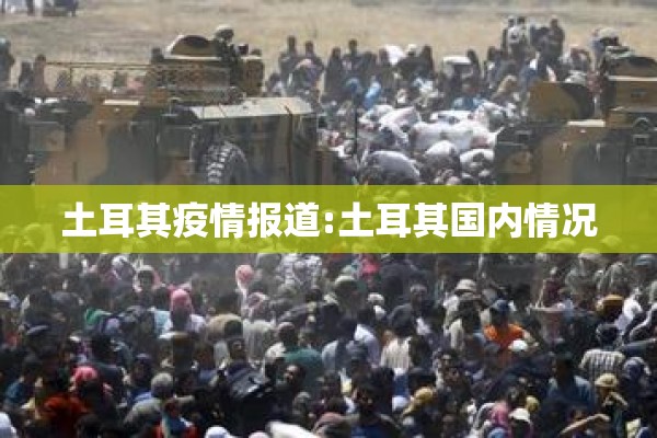土耳其疫情报道:土耳其国内情况
