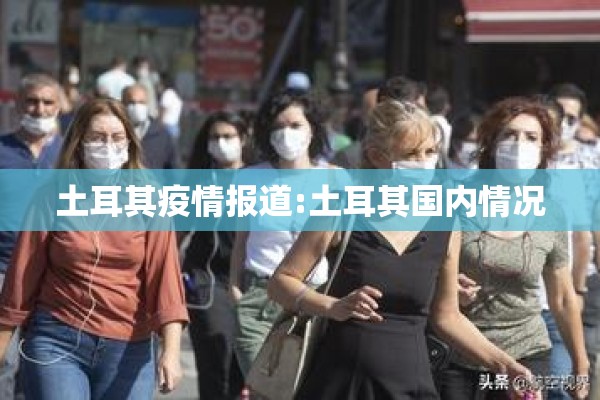 土耳其疫情报道:土耳其国内情况