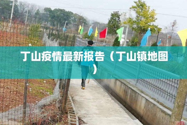 丁山疫情最新报告（丁山镇地图）