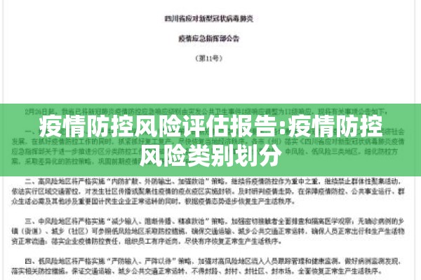 疫情防控风险评估报告:疫情防控风险类别划分