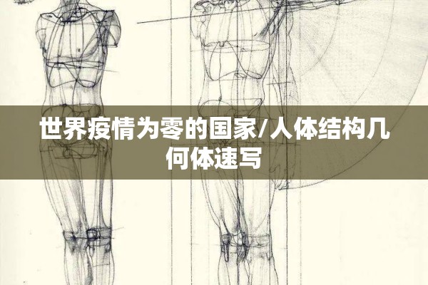 世界疫情为零的国家/人体结构几何体速写