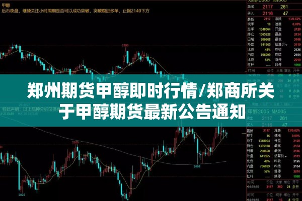 郑州期货甲醇即时行情/郑商所关于甲醇期货最新公告通知