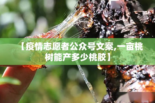 【疫情志愿者公众号文案,一亩桃树能产多少桃胶】