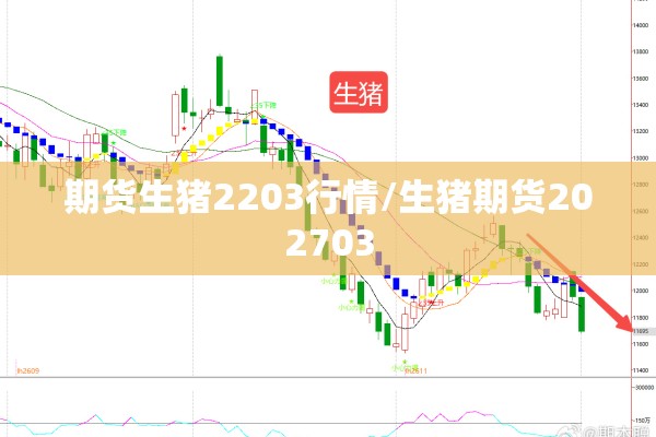 期货生猪2203行情/生猪期货202703