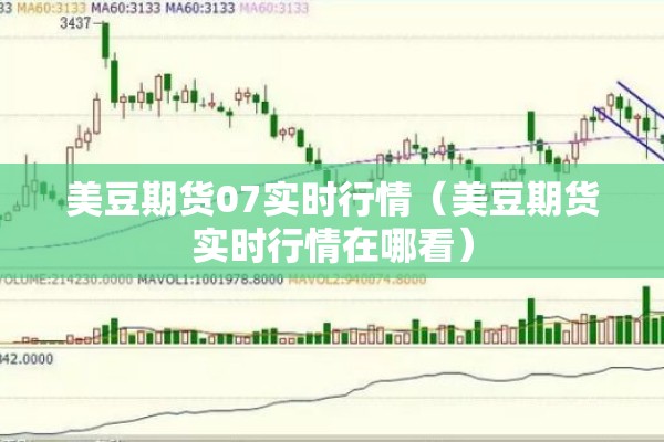美豆期货07实时行情（美豆期货实时行情在哪看）
