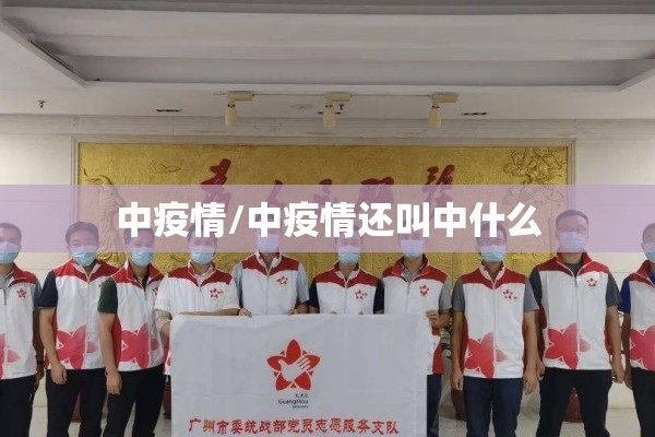 中疫情/中疫情还叫中什么