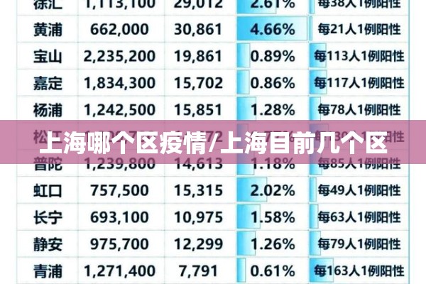 上海哪个区疫情/上海目前几个区