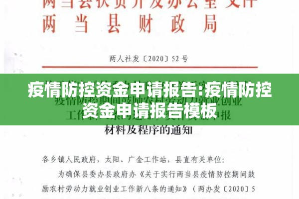 疫情防控资金申请报告:疫情防控资金申请报告模板