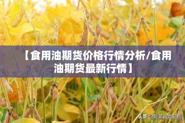 【食用油期货价格行情分析/食用油期货最新行情】