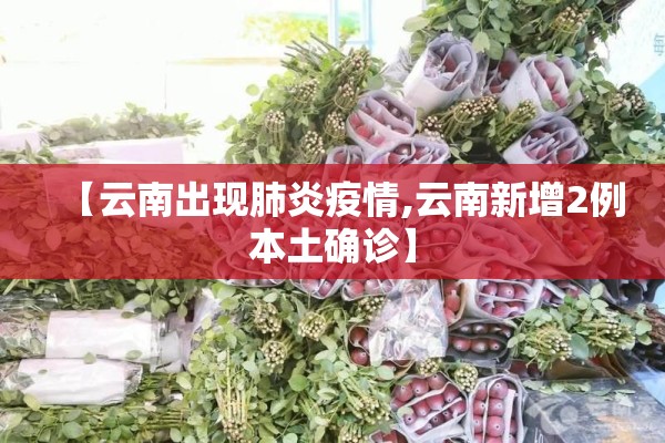 【云南出现肺炎疫情,云南新增2例本土确诊】