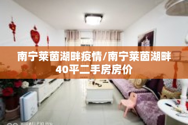 南宁莱茵湖畔疫情/南宁莱茵湖畔40平二手房房价