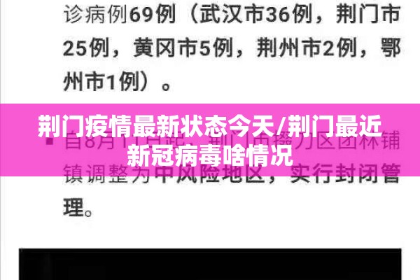 荆门疫情最新状态今天/荆门最近新冠病毒啥情况