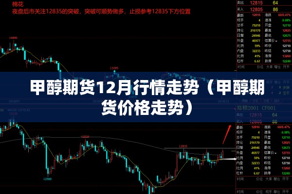 甲醇期货12月行情走势（甲醇期货价格走势）