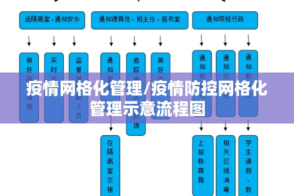 疫情网格化管理/疫情防控网格化管理示意流程图