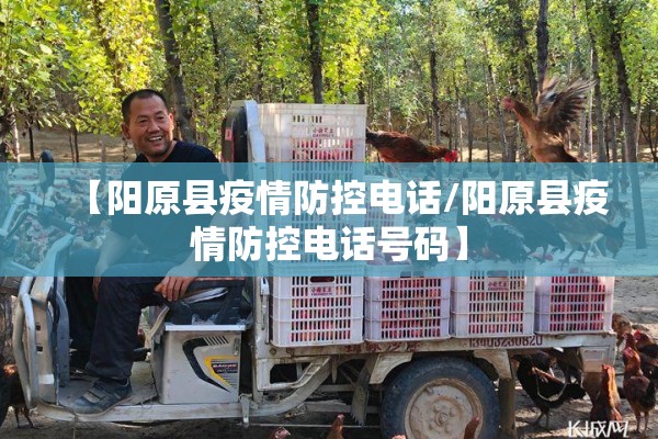 【阳原县疫情防控电话/阳原县疫情防控电话号码】