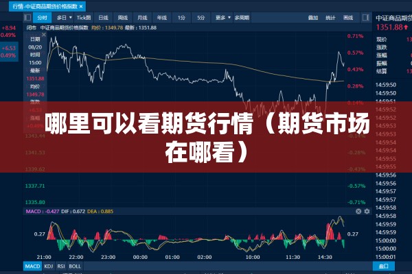哪里可以看期货行情（期货市场在哪看）