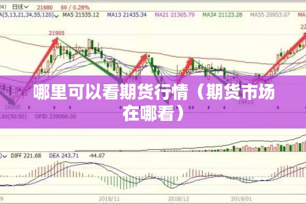 哪里可以看期货行情(期货市场在哪看) 哪里可以看期货行情(期货市场在哪看)
