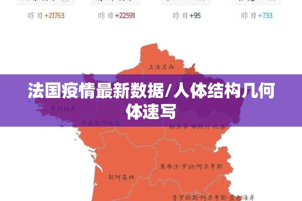 法国疫情最新数据/人体结构几何体速写 法国疫情最新数据/人体结构几何体速写