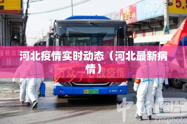 河北疫情实时动态（河北最新病情）