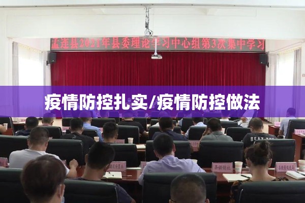 疫情防控扎实/疫情防控做法