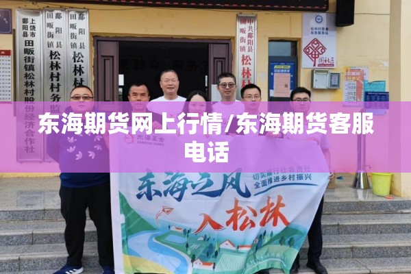 东海期货网上行情/东海期货客服电话