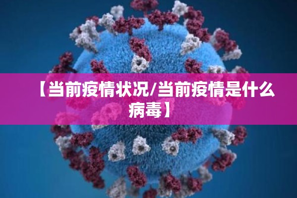 【当前疫情状况/当前疫情是什么病毒】