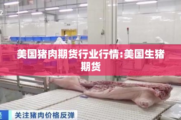 美国猪肉期货行业行情:美国生猪期货 美国猪肉期货行业行情:美国生猪期货